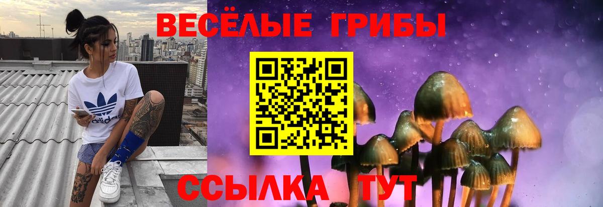 Галлюциногенные грибы Psilocybe  Вход с VPN  Тихвин  Галлюциногенные грибы мухоморы 