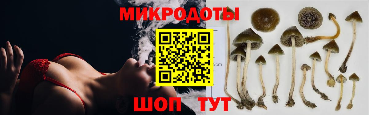 Псилоцибиновые грибы Magic Shrooms Тихвин